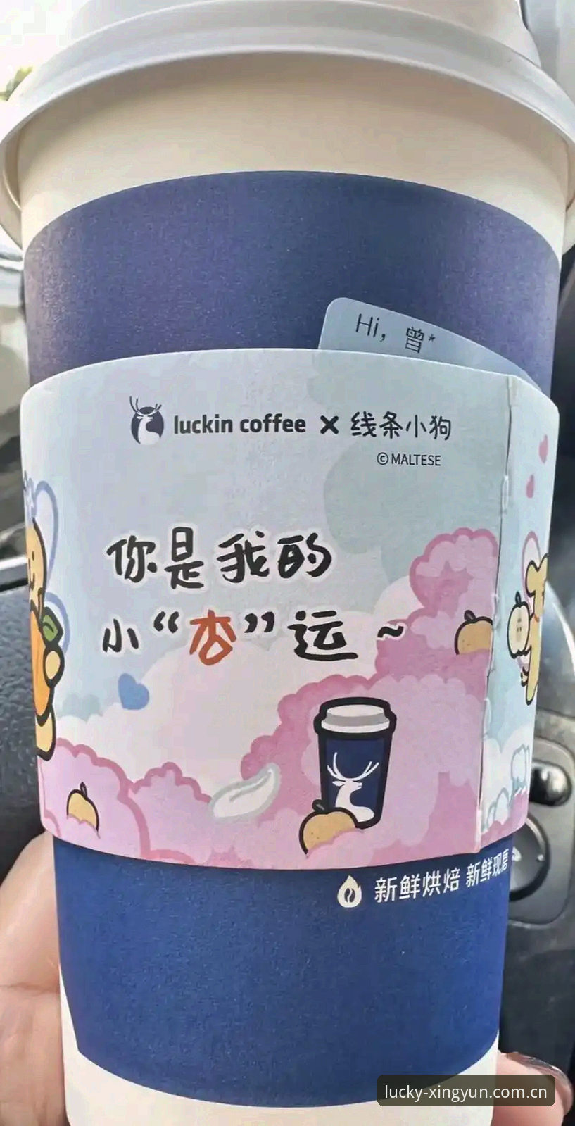 杏运平台手机版2026最新版本 掌握杏运平台手机版2026最新版本:下载安装与使用实用指南